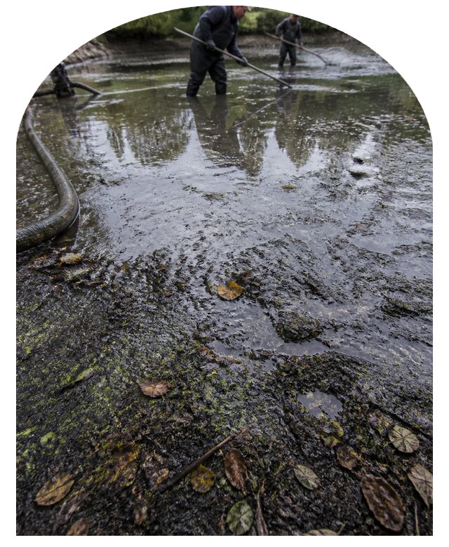 Очистка пруда в Ахтубинске от ила мусора и водорослей с вывозом